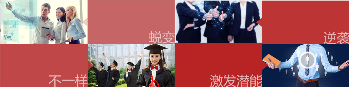 人才方略